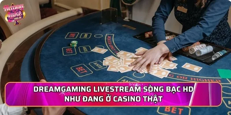 DreamGaming livestream sòng bạc HD như đang ở casino thật
