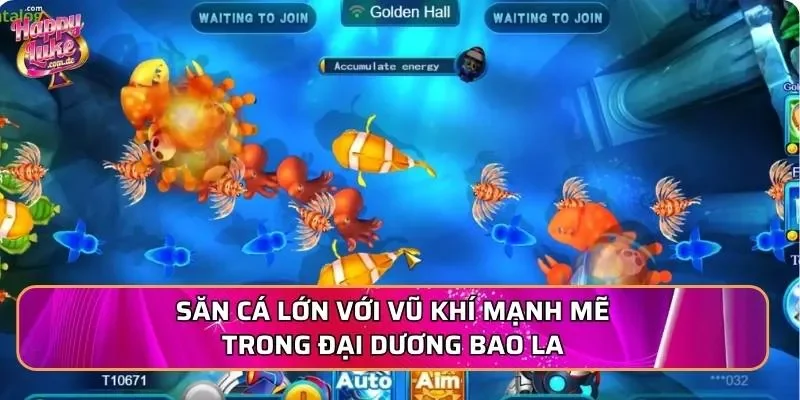 Săn cá lớn với vũ khí mạnh mẽ trong đại dương bao la